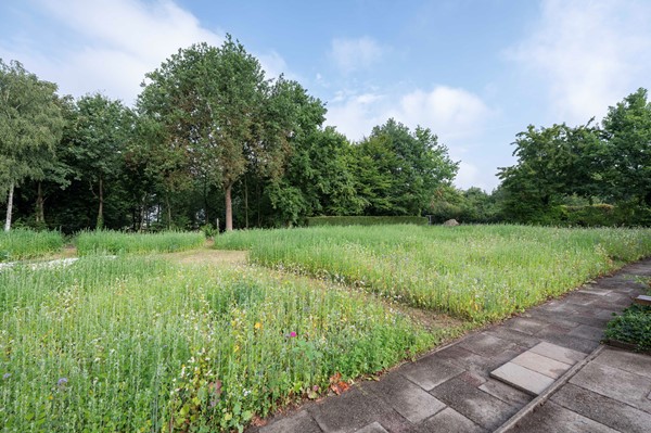 Medium property photo - Bosschenhoofdsestraat 6A, 4744 RP Bosschenhoofd